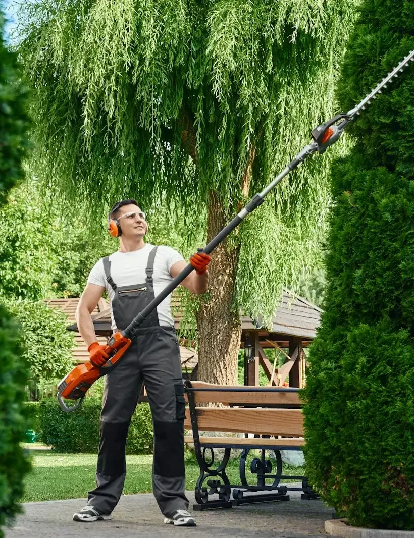 8d19af867e3f5c4487d803acac05eeecf1e1a7e7